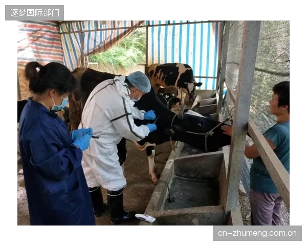 数据显示：78%的品牌方认为乡村赛事的赞助回报难以量化，这直接抑制了商业赞助的市场规模